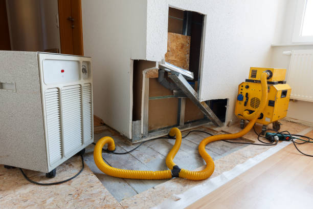 Best Dehumidification Services  in Holly Ridge, NC